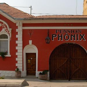 Pension Phonix Sighişoara Exterior photo