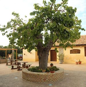 Al Grande Gelso Villa Cariati Exterior photo