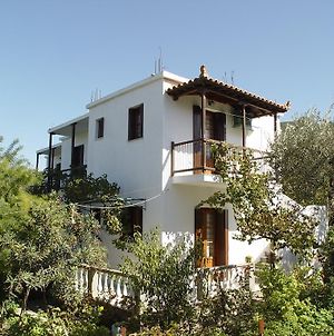 Platanakia Appartamento Città di Skopelos Exterior photo