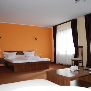 Aris Villa Iasi Room photo