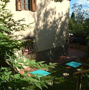 A Casa Di Olivo Bed and Breakfast San Jacopo al Girone Exterior photo