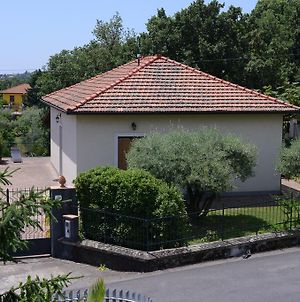 Scatitti House Villa Zafferana Etnea Exterior photo
