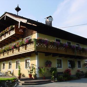 Gastehaus Steinerhof Hotel Salisburgo Exterior photo