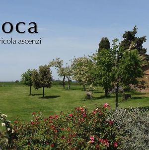Bicoca - Casaletti Villa Viterbo Exterior photo