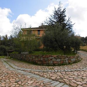 Casa vacanze Villa Lucheria Loceri Exterior photo