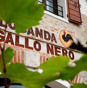 Al Gallo Nero Hotel Borgoricco Exterior photo