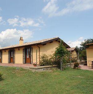 La Fraschetta Villa Bolsena Exterior photo
