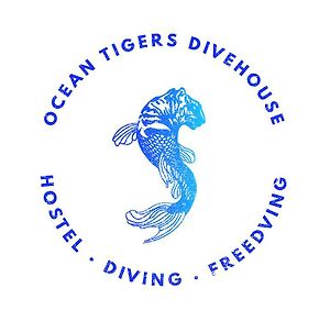 Ocean Tigers Dive House Ostello Cabo San Lucas Exterior photo