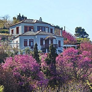 O Stolios Appartamento Città di Skopelos Exterior photo