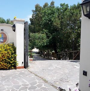 Residence Aegidius Ischia Island Exterior photo