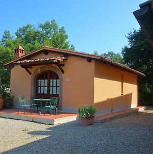 Spacious Holiday Home In Terranuova Bracciolini With Pool Exterior photo