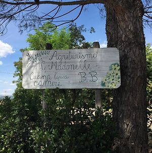 Agriturismo le madonnelle Villa Civitella dʼAgliano Exterior photo