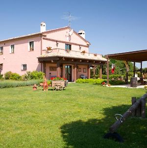 Airone Country House Affittacamere Offagna Exterior photo