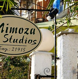 Mimoza Studios Città di Skiathos Exterior photo