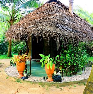 Turtle Watch Cabana Bed and Breakfast Tangalle Exterior photo