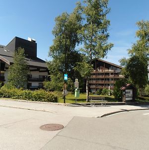 Appartementhaus Birkenwald Seefeld in Tirol Exterior photo