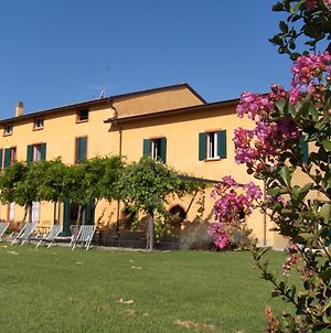 Agriturismo Le Colombaie Bed and Breakfast Busseto Exterior photo