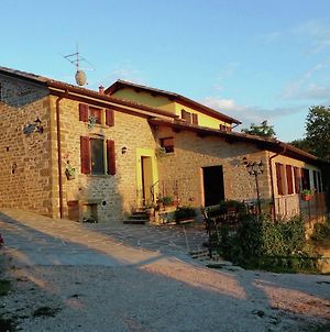 Stone Cottage In Marche With Swimming Pool Apecchio Exterior photo