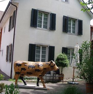 Gartenhaus By Ochsen Lenzburg Appartamento Exterior photo