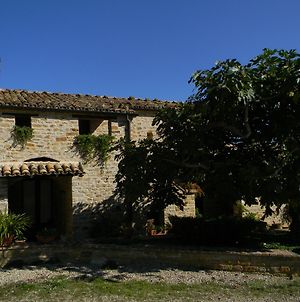 Azienda Agrituristica Colle San Giorgio Villa Castiglione Messer Raimondo Exterior photo