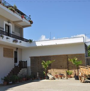 Local Living Edi Hotel Berat Exterior photo