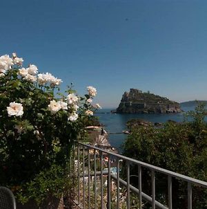 Hotel La Ninfea Ischia Island Exterior photo