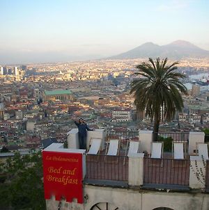La Pedamentina Napoli Exterior photo