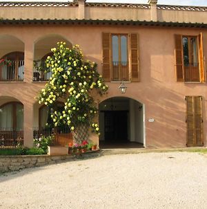 Agriturismo Vocabolo Palazzo Bed and Breakfast Solomeo Exterior photo