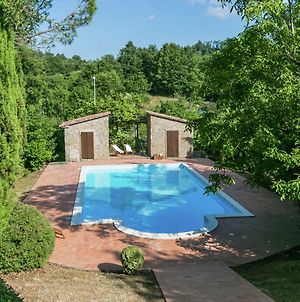Attractive Villa In Selva Santa Fiora With Pool Exterior photo