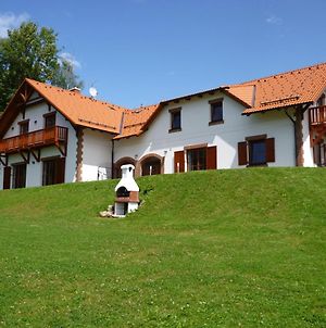 Villa Victoria Lipno nad Vltavou Exterior photo