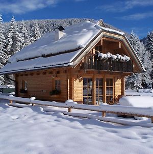 Alpi Giulie Chalets Hotel Valbruna Exterior photo