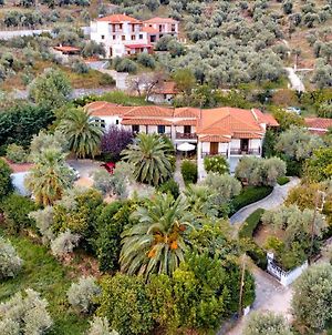 Villa Ble Città di Skopelos Exterior photo
