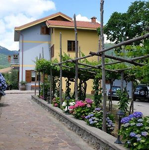 Villa Elisa Agerola Exterior photo