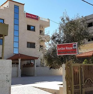 Juniper House Appartamento Wadi Musa Exterior photo