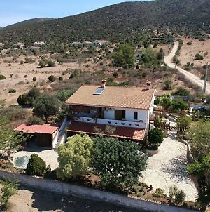House In The Most Southern Point Of The Island, Completely Fenced Super Price. Appartamento SantʼAnna Arresi Exterior photo