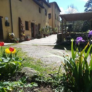 A Casa Del Tosi Villa Lucca Exterior photo