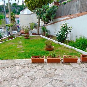 N209 - Numana, bilocale con giardino a 100 metri dal mare Appartamento Exterior photo