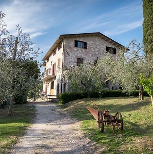 La Piaggia Bed and Breakfast Assisi Exterior photo