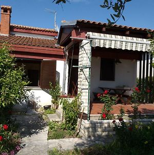 House Roko Villa Sveti Petar  Exterior photo