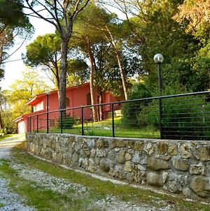Agriturismo Poggio al Pino Villa Capraia e Limite Exterior photo