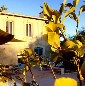 Le Mas Montredon Bed and Breakfast Arles Exterior photo