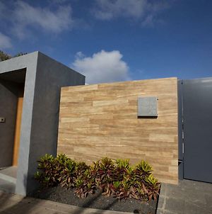 Exclusive Villa On Tenerife With Infinity Pool Zen Garden Costa Adeje  Exterior photo