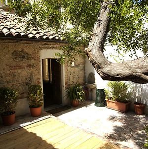 L'albero di Giuggiole Villa Cosenza Exterior photo