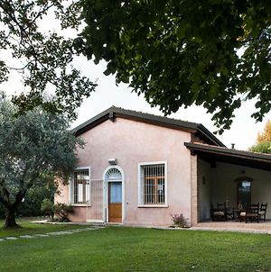 Casa Lunia Villa Mestre Exterior photo