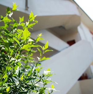 Cristallo Verde Mare Appartamento Alba Adriatica Exterior photo
