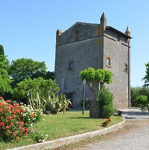 Magica Torre Medievale Viterbo Exterior photo
