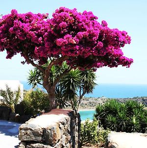 Venus Dream Villa Pantelleria Island Exterior photo