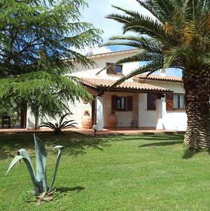 Villa Aunti Albinia Exterior photo