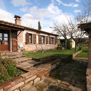 Acacia casetta con giardino Villa Donoratico Exterior photo