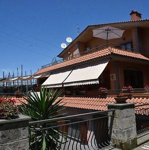 Bed And Lemons Bed and Breakfast Piano di Sorrento Exterior photo